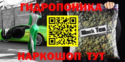 мдпв Лесосибирск