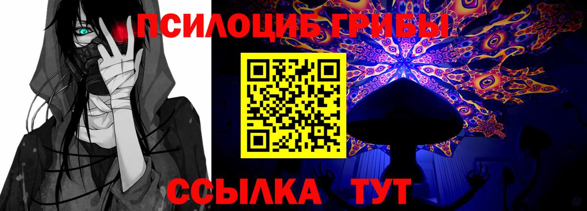 Арзамас  Псилоцибиновые грибы мицелий  Вход с VPN  Псилоцибиновые грибы Psilocybine cubensis 